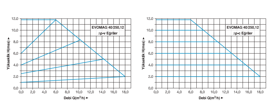 Master EVOMAG 40/250.12 Monafaze Elektronik Sirkülasyon Pompası
